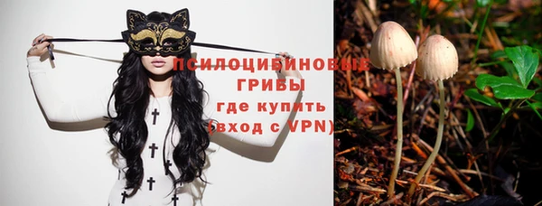 спайс Абинск
