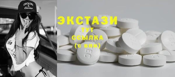 хмурый Дмитров