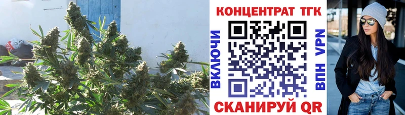 blacksprut   Саратов  ТГК жижа 