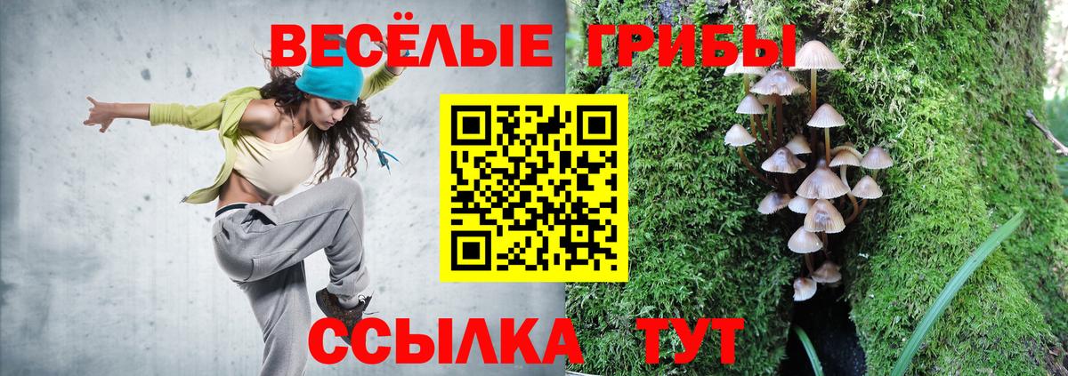 Саратов  Галлюциногенные грибы Cubensis  Вход с VPN 