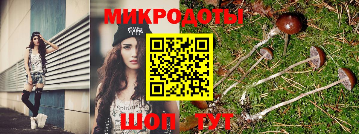 Галлюциногенные грибы MAGIC MUSHROOMS Саратов